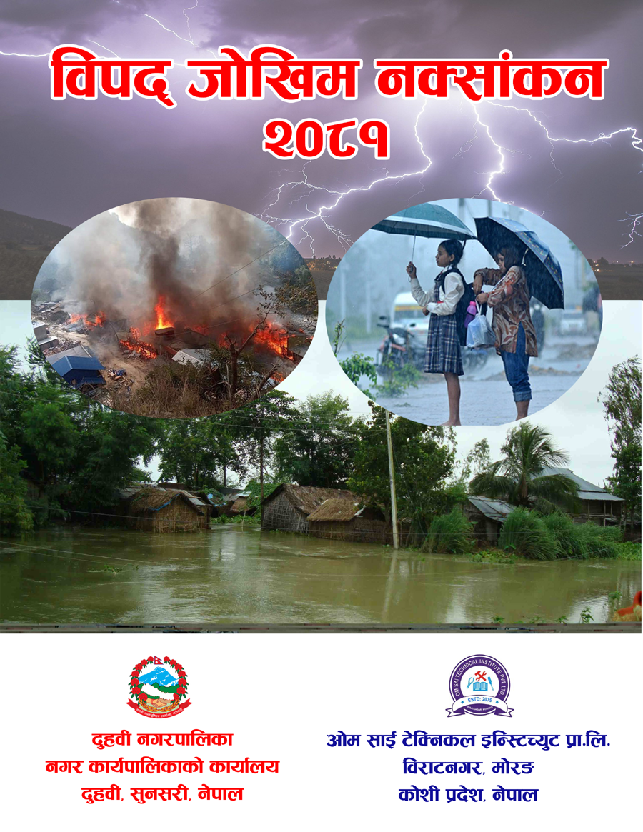 Disaster Mapping
